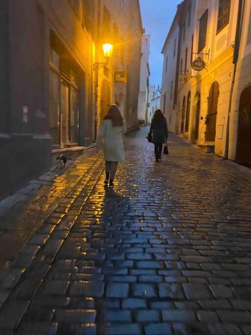 Unesco 14 Century Český Krumlov 外观 照片