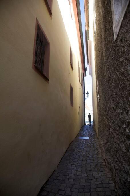 Unesco 14 Century Český Krumlov 外观 照片